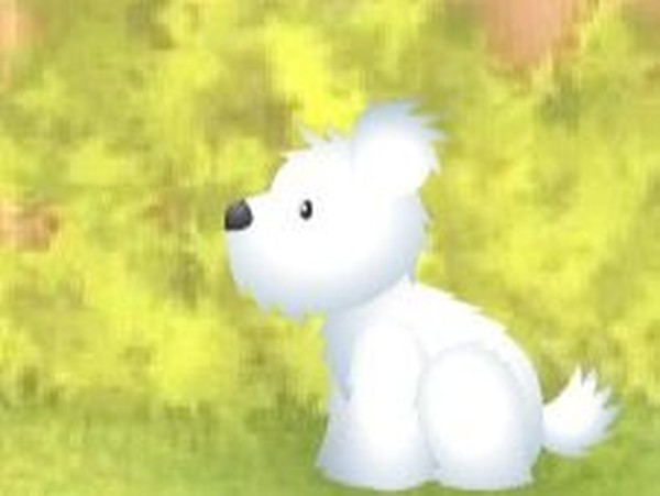 Net Pet: Virtual Animal Care