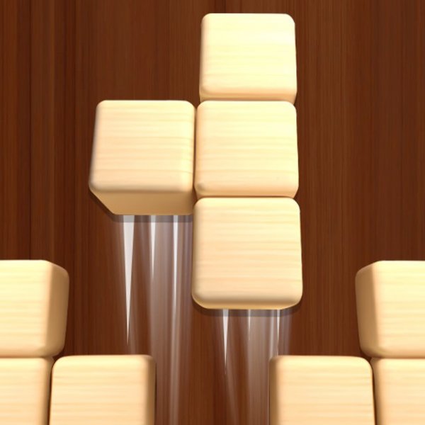 Wooden Block Puzzle Collection
